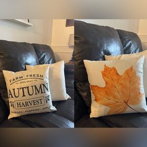Autumn Harvest Decorative Pillow Cover Set of two 15x15